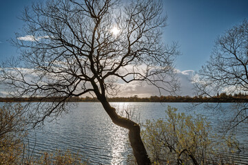 Tranquil Lake Landscape With Trees, Calm Water, and Autumn Colors by the Shore, Karlsgaarde, Denmark