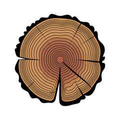 abstract tree ring cross section symbolizing growth time nature and sustainability concept