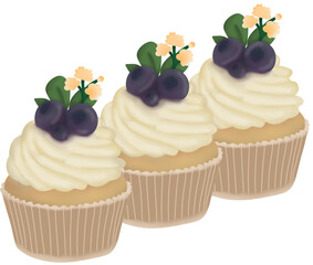Three delicious cupcakes topped with whipped cream and blueberries