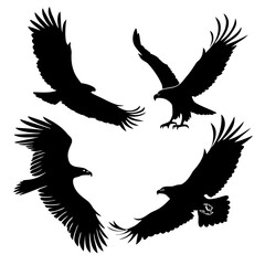 Four black eagle silhouettes in flight on white background