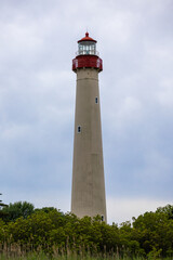 Cape May Lighthouse Behind Trees