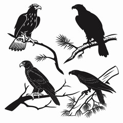Naklejka premium Four black silhouettes of birds of prey on branches