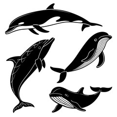 Four black whale and dolphin silhouettes with white outlines ©  MST RABEYA  BEGUM