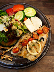 Grilled fish steak with mixed vegetable salad.