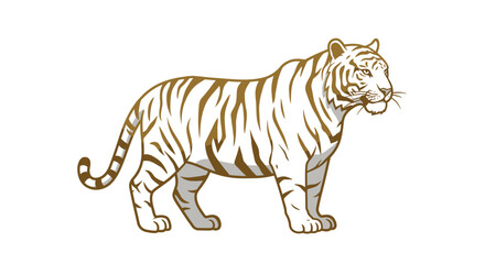 Magnificent White Tiger with Golden Stripes Graceful Wildlife Art Vector