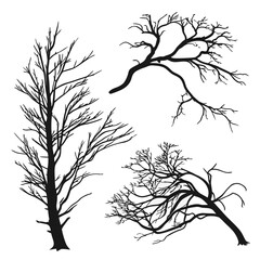 Set of five bare tree branch silhouettes on white branches