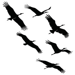 Seven black bird silhouettes in flight against white background