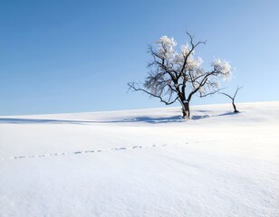 Obraz premium Lone frost-covered tree and a smaller one stand on a snow-covered hill under a clear blue sky