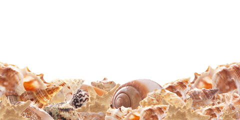Frame sea shells isolated