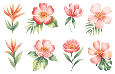 Fotobehang Tropische Bladeren Baby’s breath botanical stems in a soft watercolor style. White gypsophila floral branches.   © Joydeb