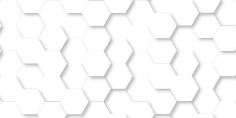 Abstract white grid presentation surface mosaic and tiles minimal tech bee website science element grid overlay white hexagon futuristic technology geometric texture background.