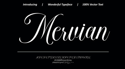 Artistic handwritten script with soft rhythm and elegant flow, designed for creative branding, packaging, and expressive typography layouts. © Vector Hall