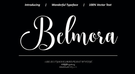 Elegant script font 6 with smooth flowing strokes and refined curves, ideal for luxury branding, logos, invitations, and sophisticated typography projects. © Vector Hall