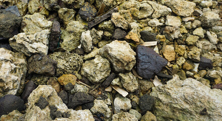 stones on the beach