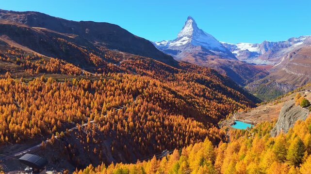 Matterhorn Mountain and Yellow Golden Larches in Autumn on Sunny Day. Swiss Alps. Zermatt, Valais, Switzerland. Aerial View. Moving Forward, Tilt Up. Reveal Shot