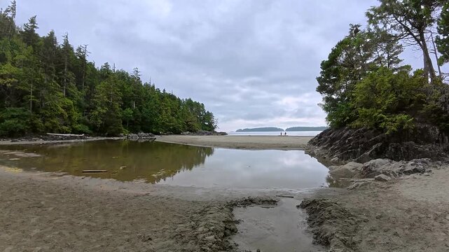 Panoramic views of mackenzie beach in tofino, vancouver island, during low tide reveal reflections of trees, rocks, and distant islands in shallow pools of water on the sandy shore