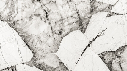 Elegant white marble texture with dramatic dark veins and fractured patterns