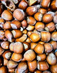 Close up hazelnuts surface showing natural nut texture and organic food detail