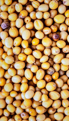 Close up mustard seeds showing natural spice texture and organic seasoning detail