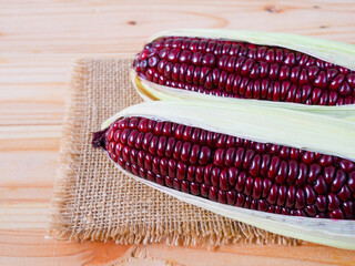 Purple corn or purple maize