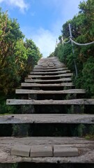 An ancient stone stairway through a lush natural landscape of grass and trees, offering an old wooden path to climb up a scenic garden forest way