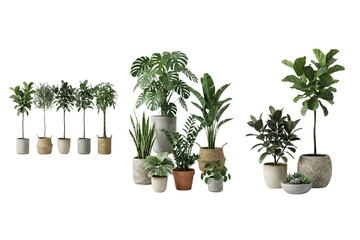 A diverse collection of potted green plants showcasing various species and container styles