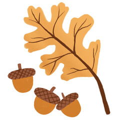 oak leaves and acorns © Marin