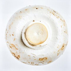 White Button Mushroom Isolated on White Background, Common Edible Fungi Representing Everyday Cooking and Healthy Food Concept
