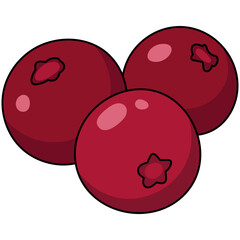 Illustration of Three Cranberries