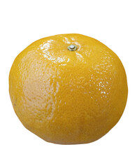 Fresh Orange Citrus Fruit Isolated on White