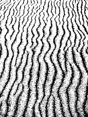 Black Silhouette of a Human Head Profile Outline