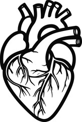 Single-line bold drawing of a human heart in abstract anatomical style 4