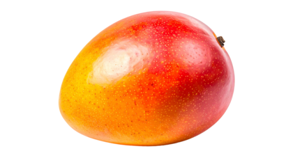 A ripe, colorful mango with a gradient of yellow, orange, and red against a black background