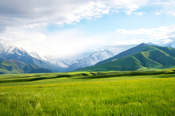 Fototapeta premium Vibrant Green Grassland with Distant Snow-Capped Mountains