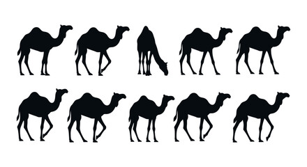 Collection of diverse black camel silhouettes in various dynamic poses, illustrating desert life and suitable for graphic design projects, educational resources, or travel-related content