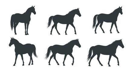 Obraz premium Silhouettes of a Horse in Various Poses, Ideal for Equestrian and Animal Themed Designs