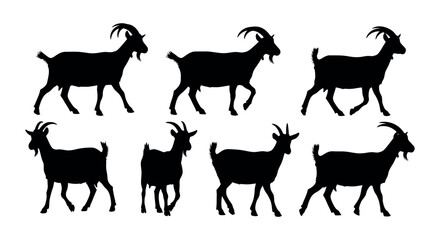 Fototapeta premium Collection of Detailed Black Silhouettes of Goats in Various Poses, Ideal for Farm Animal Vector Graphics and Design Elements for Agricultural Themes