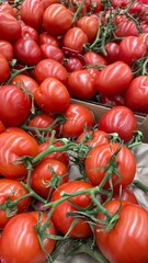 Fresh heirloom tomatoes on the vine piled at farmers market, ripe organic red vegetables background for healthy food and agriculture concepts