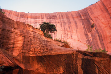 Zion National Park Utah