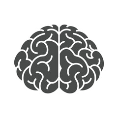 Human brain illustration with detailed structure