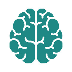 Human brain anatomy illustration