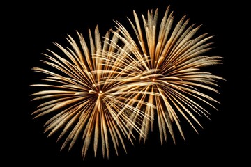 Fototapeta premium Bright fireworks burst in the night sky, celebrating a holiday event with colors and patterns visible for all to see