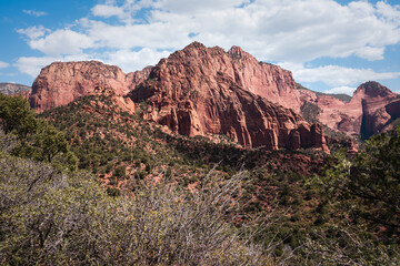 Zion National Park Utah