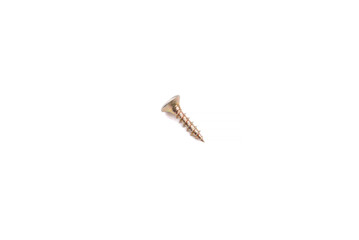 Scattered wood screws isolated on white background
