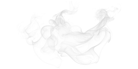 Ethereal white smoke swirls a flowing ghostly vapor cloud texture against dark black background Dynamic abstract motion
