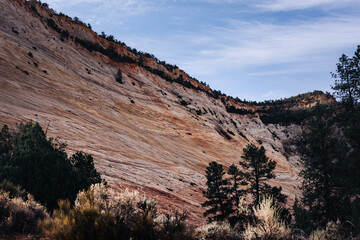 Zion National Park Utah