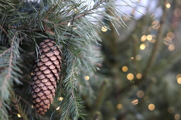 A fragment of a fir tree with a cone and garlands, selective focus