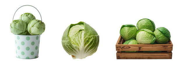 Ripe white cabbage isolated on transparent background