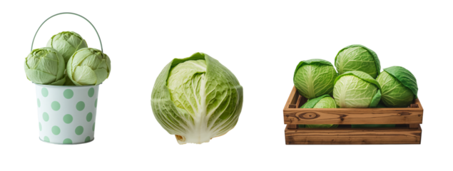Ripe white cabbage isolated on transparent background