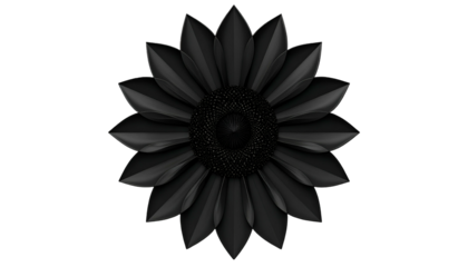 A highly detailed, black sunflower with glossy petals set against a black backdrop